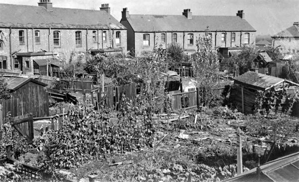 Bombed gardens in Radford