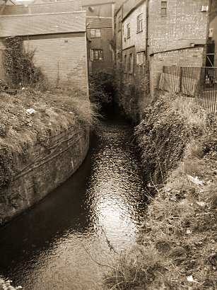 The River Sherbourne by Palmer Lane