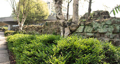 Wall near Cox Street viewed from the north side looking to the south-east.