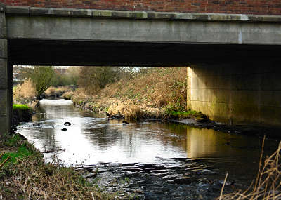 River Sowe, Wyken