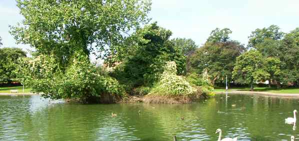 Swanswell Pool 2004