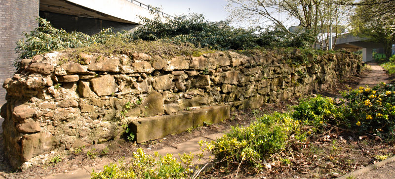 South side of the wall near Cox Street looking to the north-east